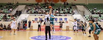 命中数以打