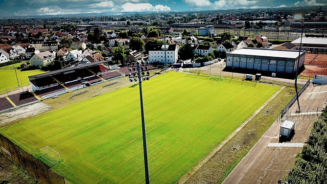 地的和平造 地的和平造