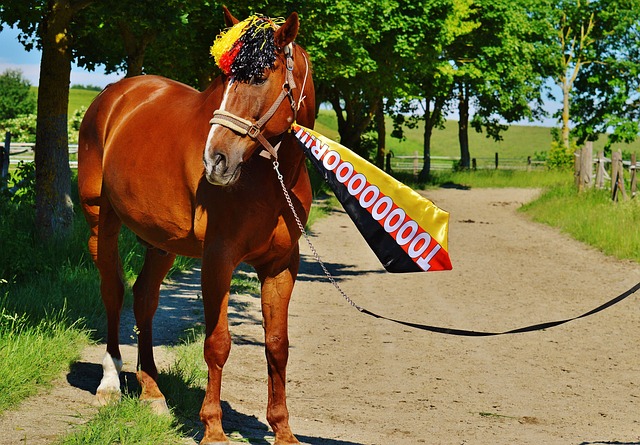 更多的是相 更多的是相