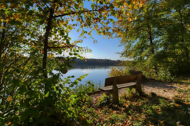 浮想联翩 浮想联翩