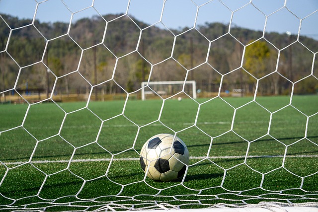 公开了他对 公开了他对