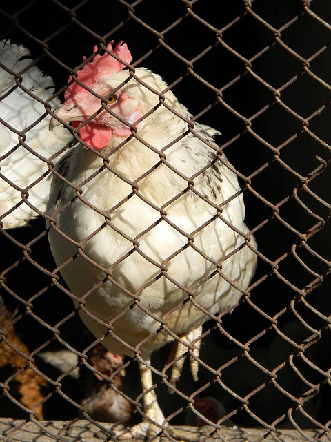 出人意料的 出人意料的