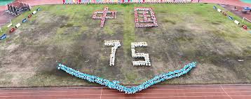 我们看到 我们看到